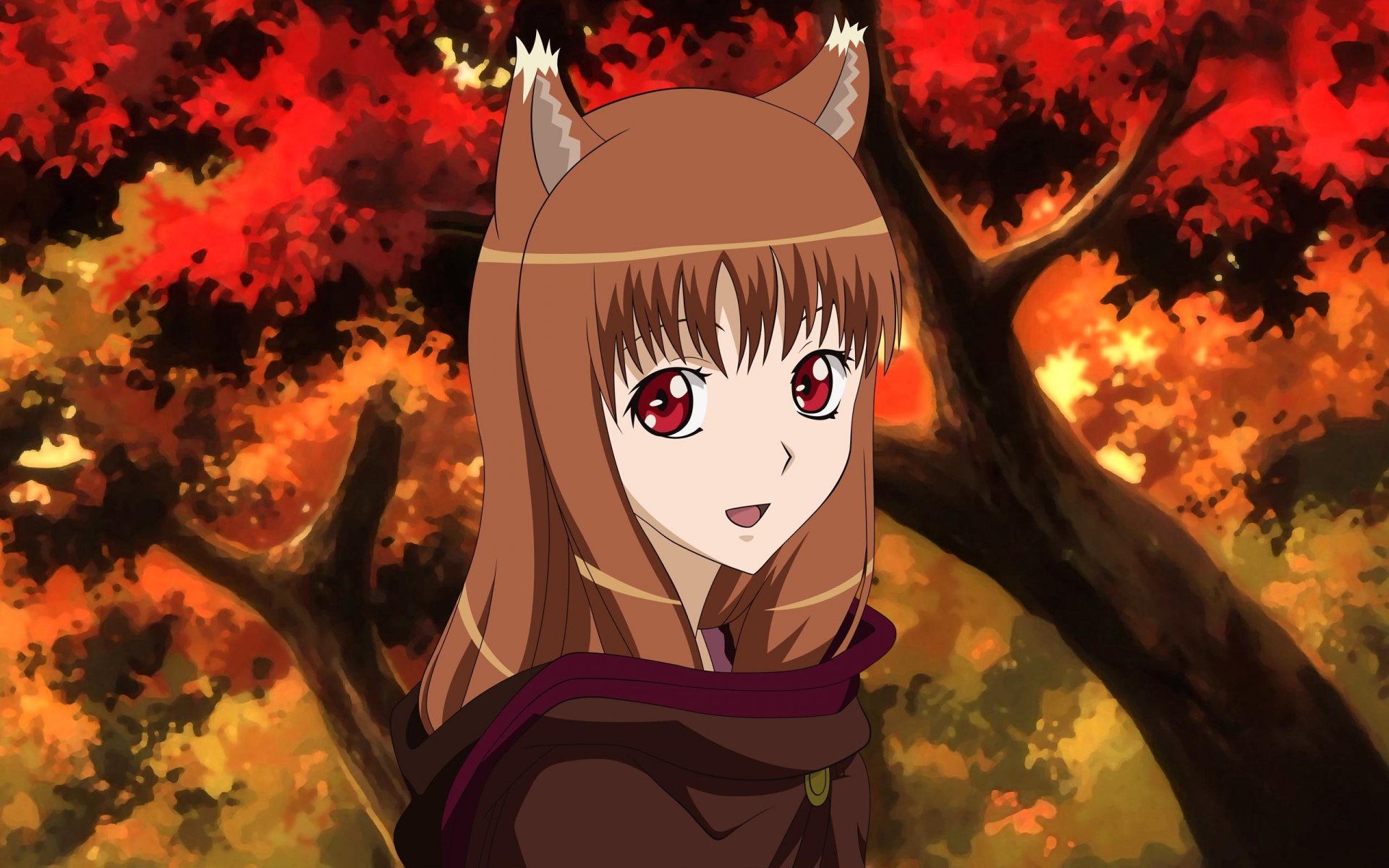 lobo y especias holo horo lobo sabio holo otoño