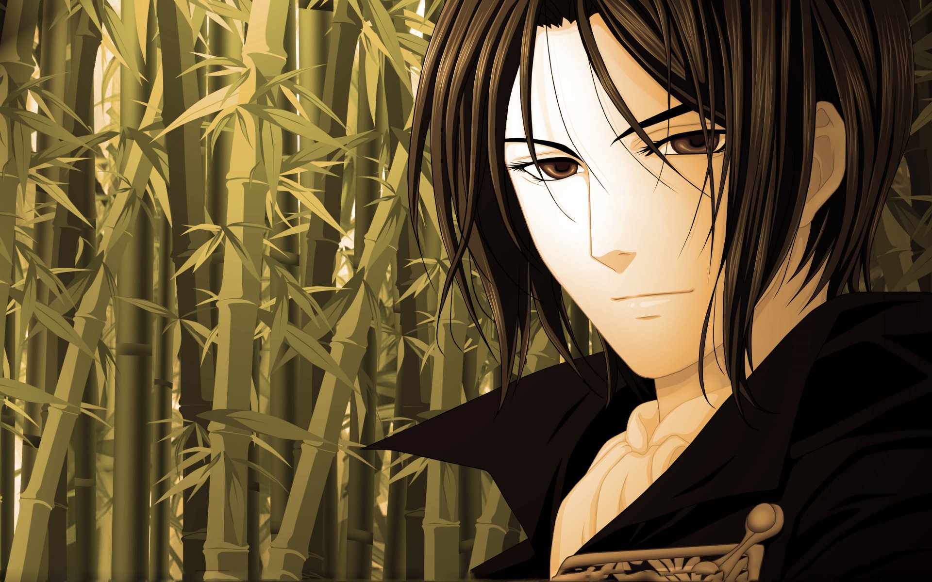 anime hakuouki shinsengumi kitan démons de sakura pâle bambou gars yeux regard art okito