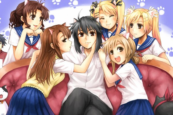 Neko girls and neko guy - anime-style art