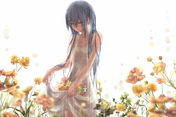 Dziewczyna zbiera róże w deszczu