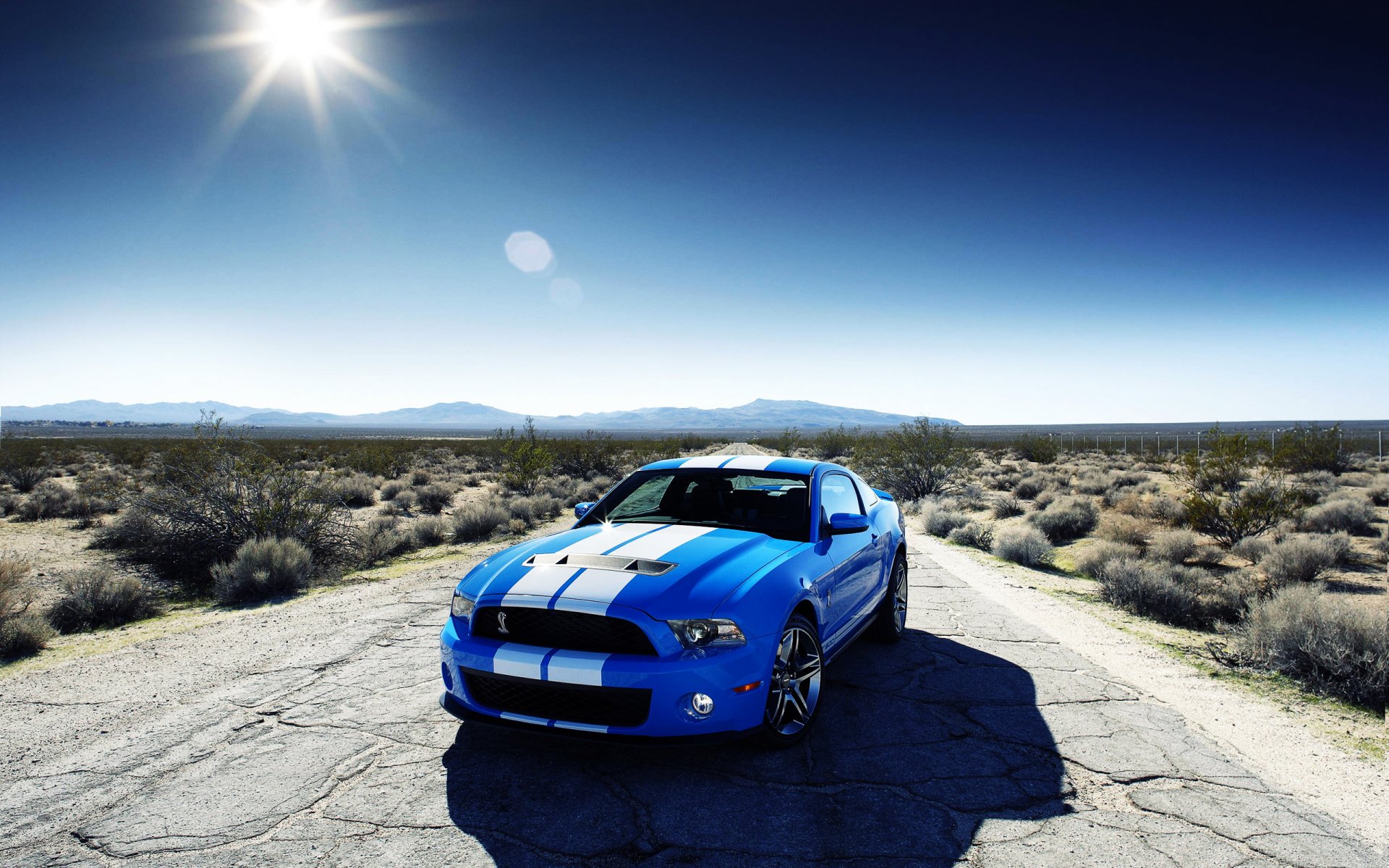 ford shelby gt 500 blue