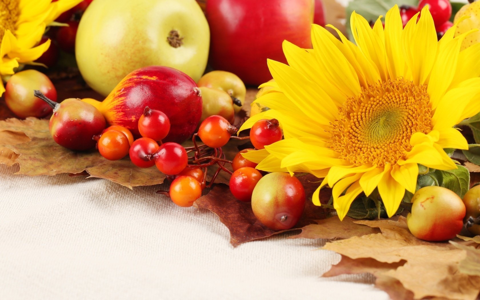 manzanas otoño girasoles hojas