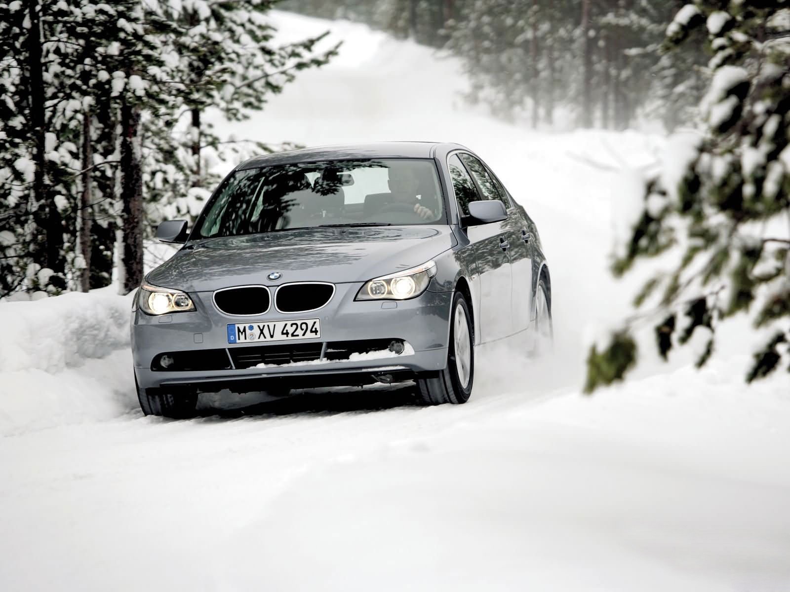 bmw зима лес деревья