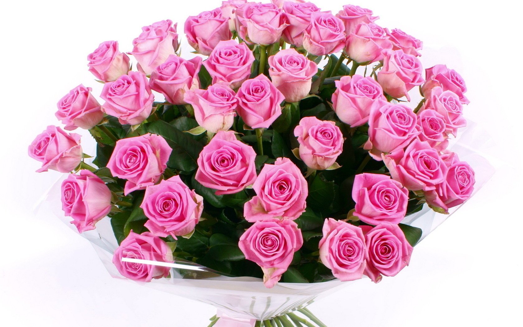 flowers roses flower pink bouquet