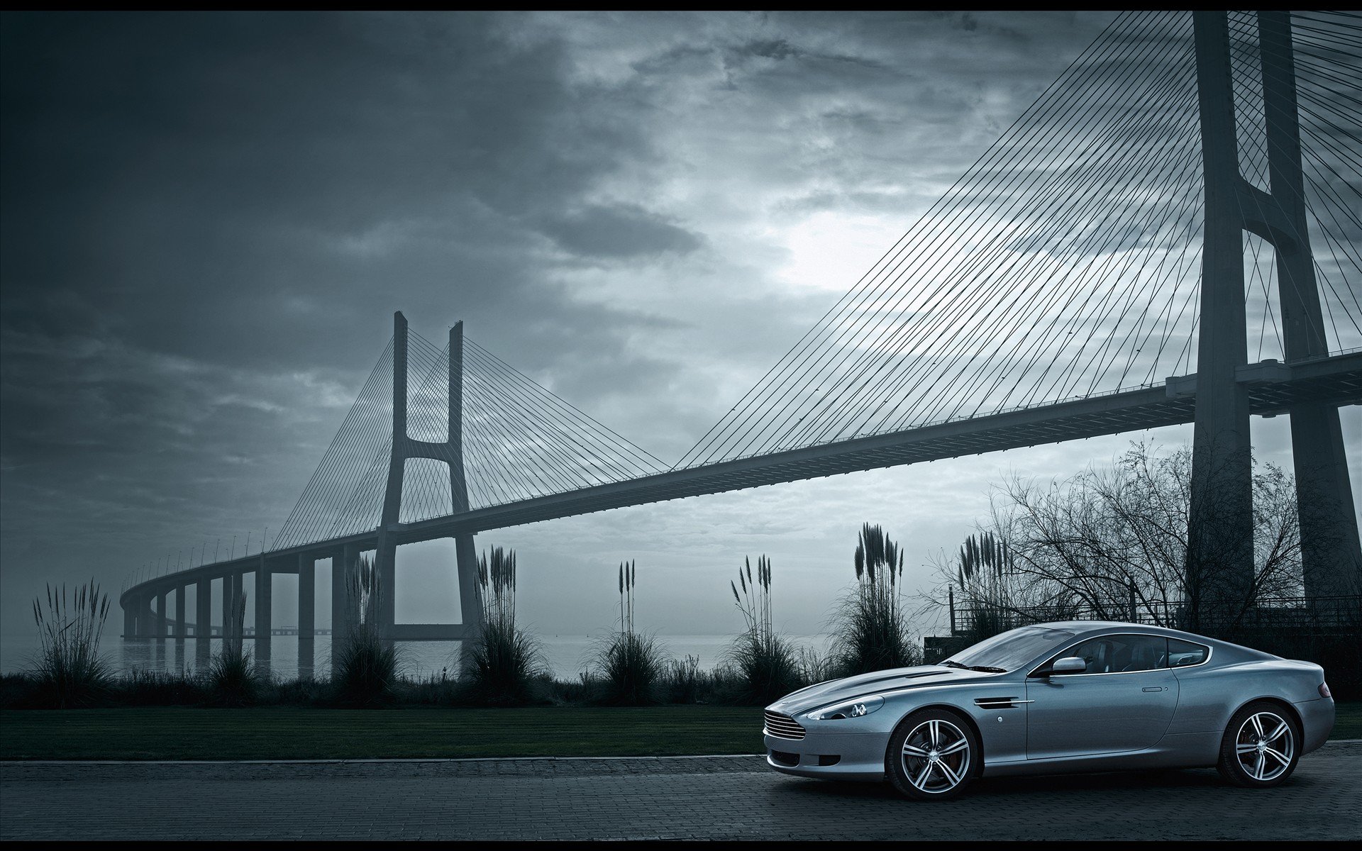 aston martin db9 brücke schilf