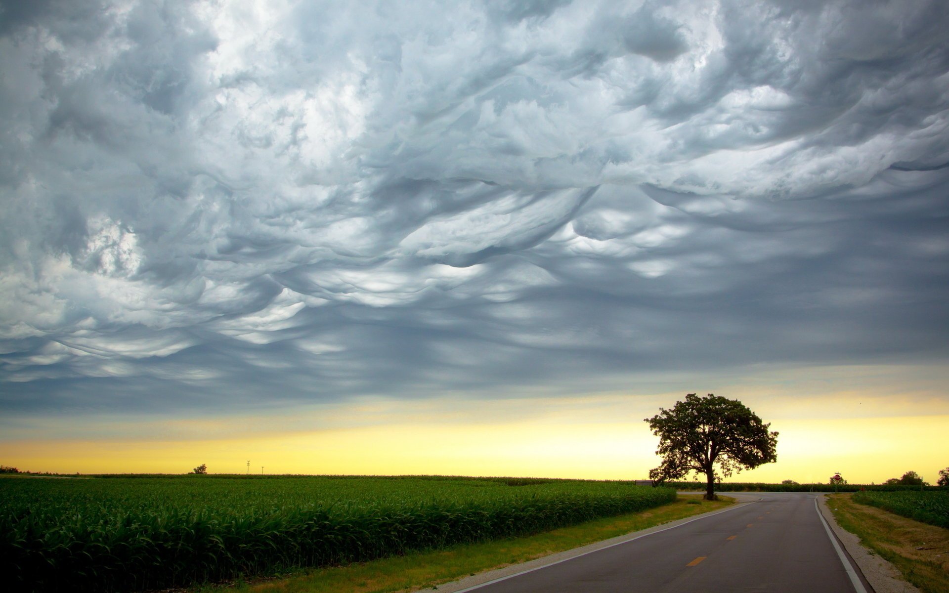 landscape the sky sunset road