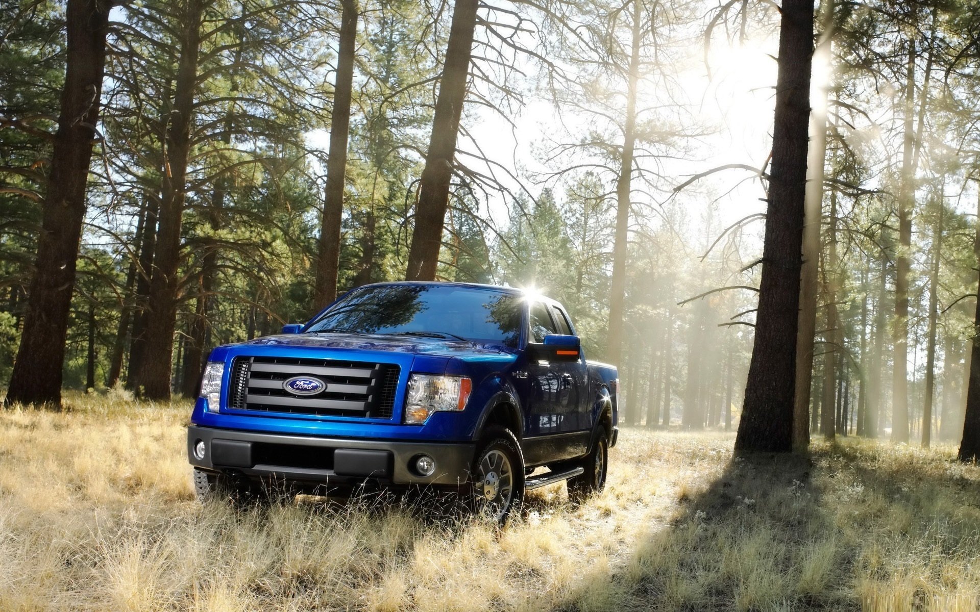 ford pick-up forêt soleil