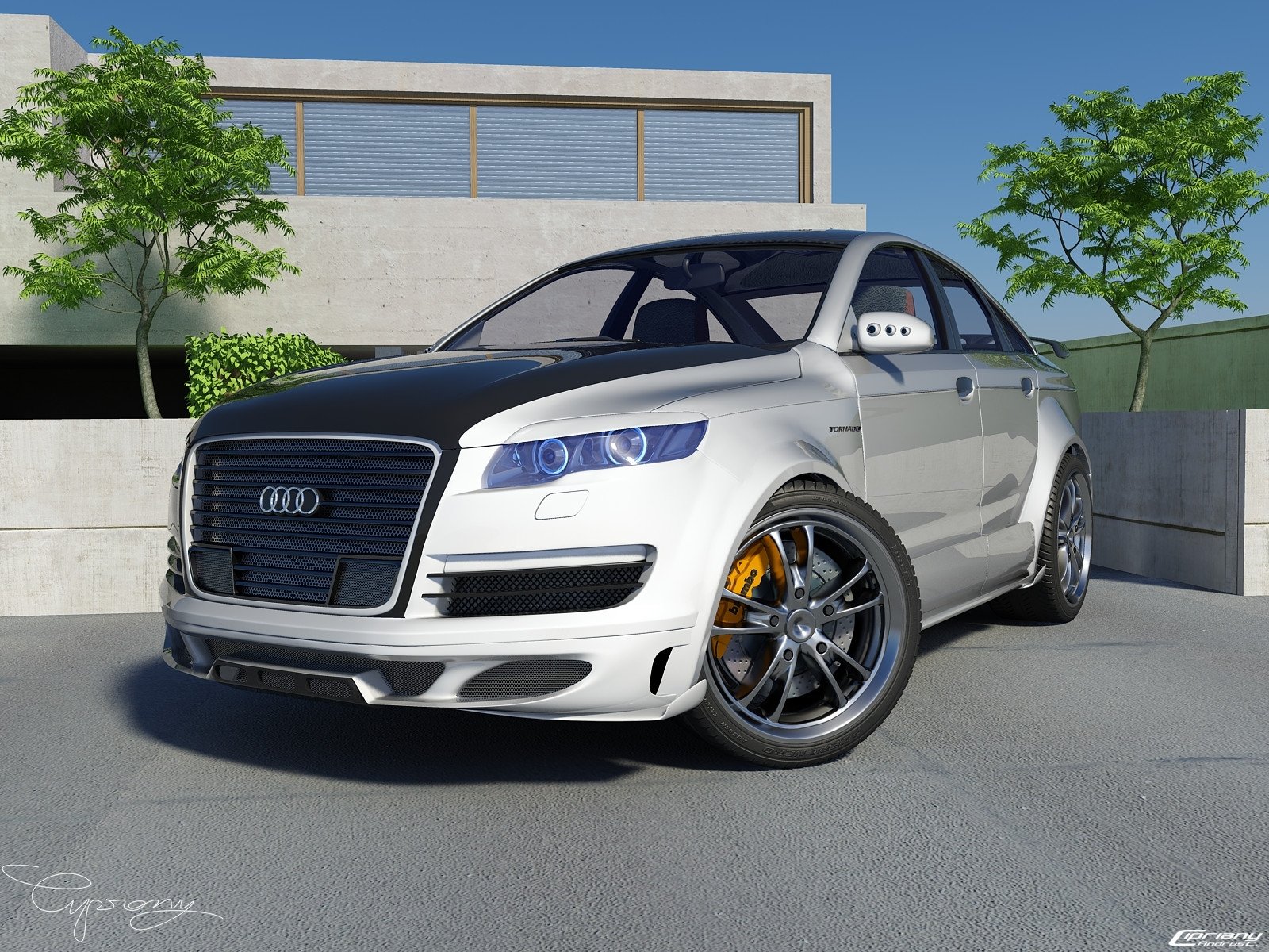 audi tuning graphiques