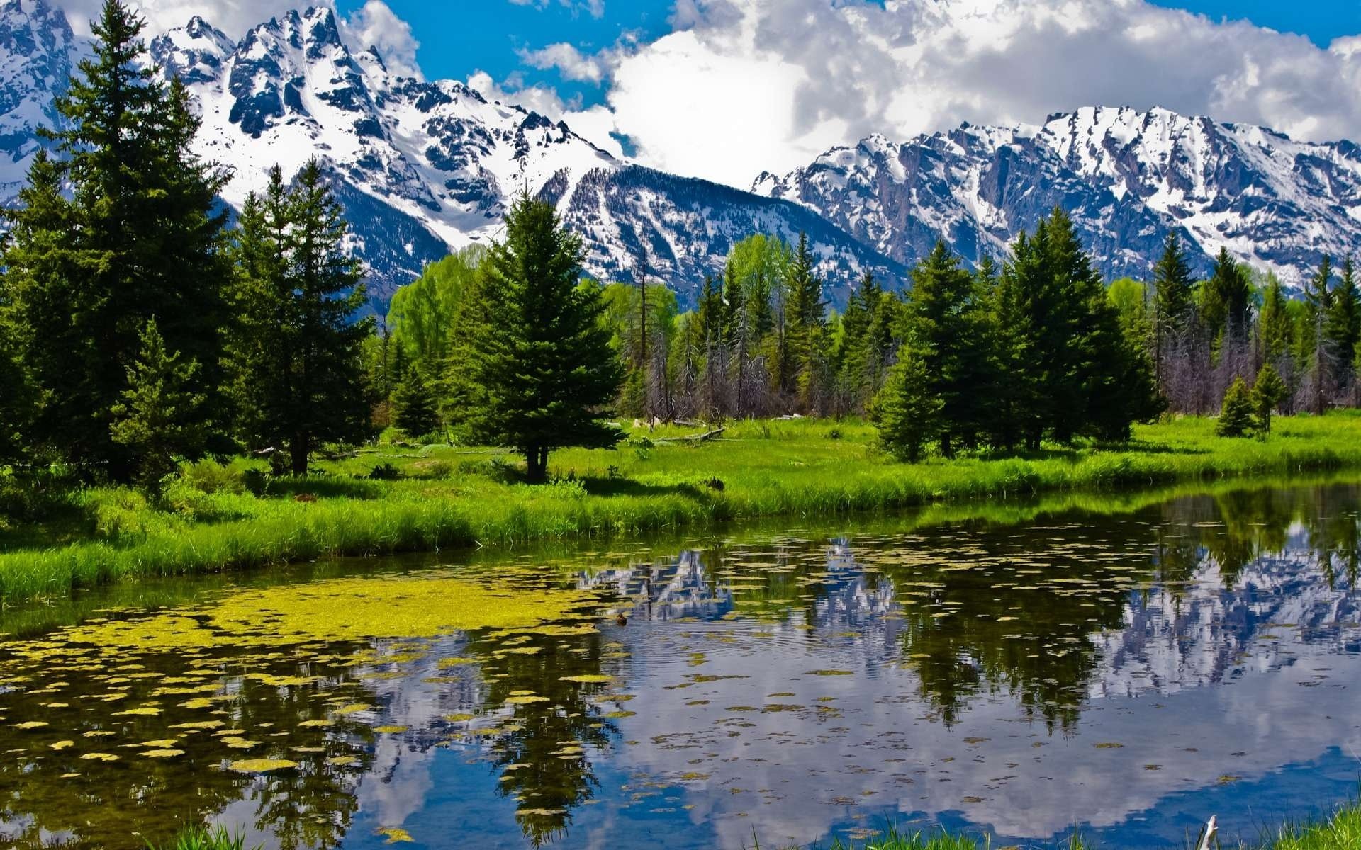 fluss wald berge landschaft