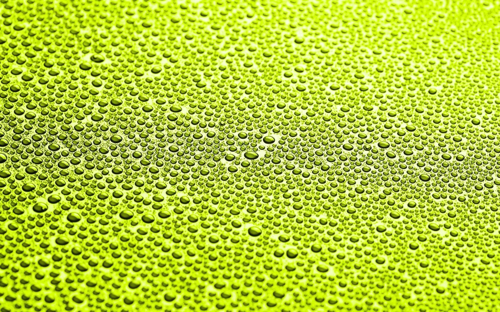 verde fondo gotas