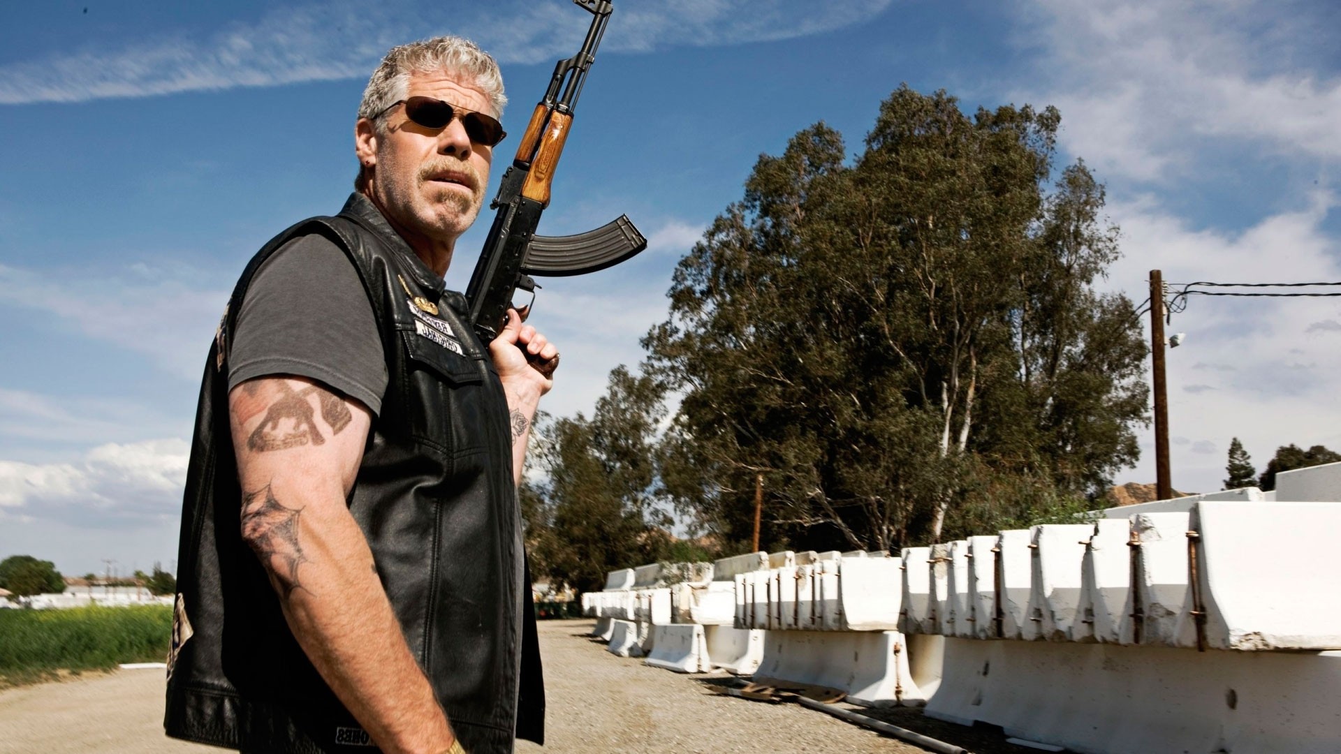 hellboy ron perlman hijos de la anarquía actor