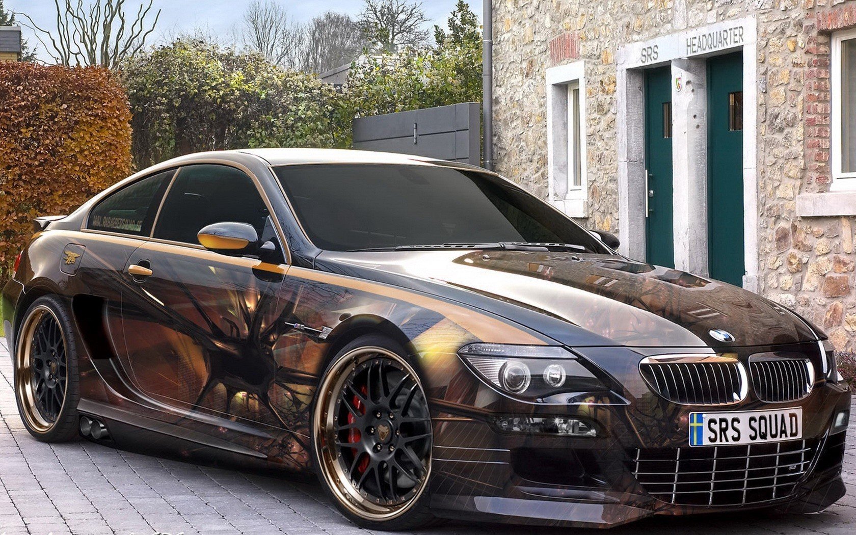 bmw picture airbrush