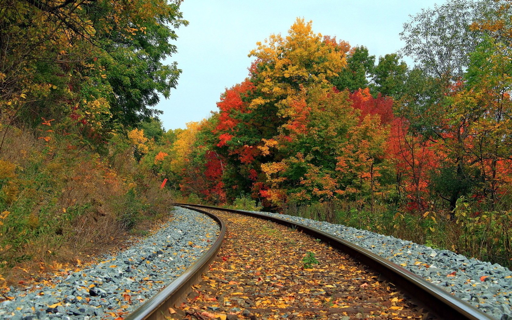 paesaggio ferrovia autunno