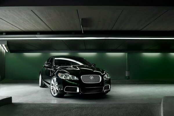 Jaguar in the garage under green lights