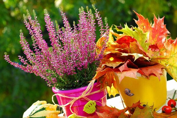 Flores y hojas del otoño saliente