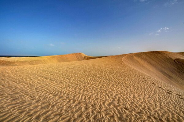 Dunes in the desert with a blue sky