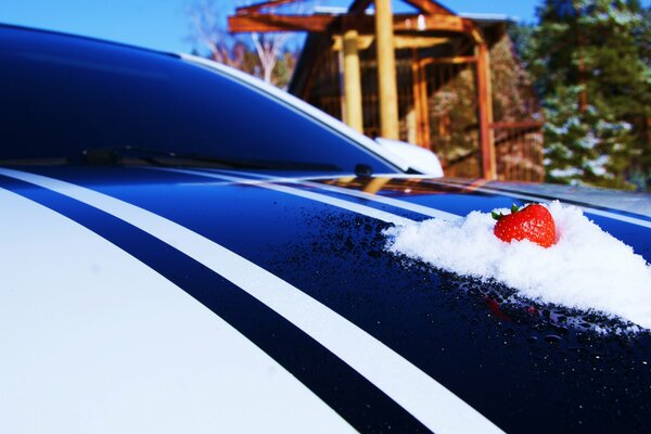 Screensaver with a car and a berry