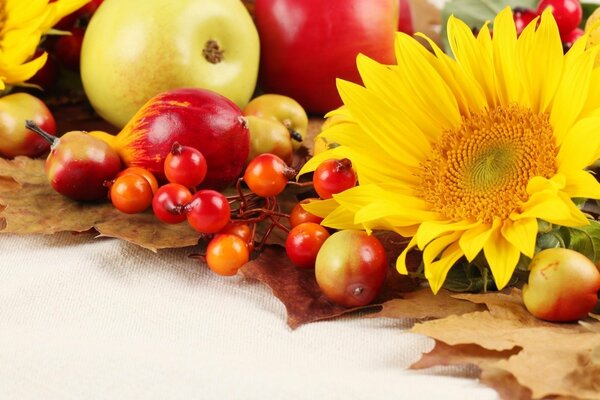 Bodegón de otoño de frutas y flores