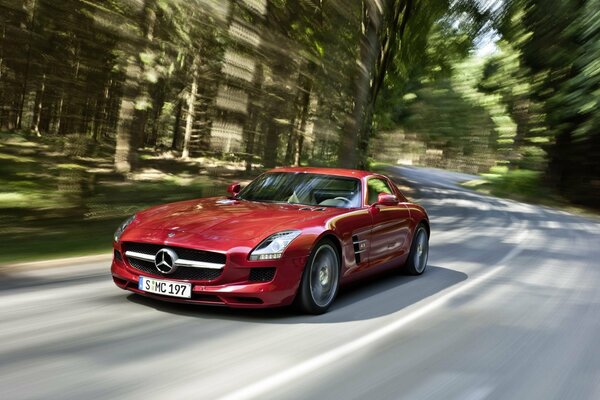 Rouge Mercedes AMG à la vitesse dans les bois
