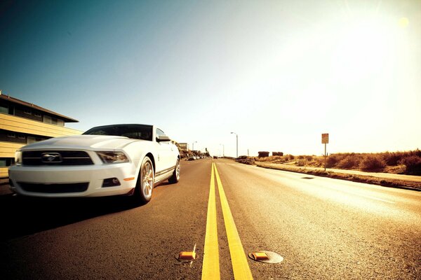 Ford Mustang front photo on the road