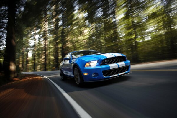 Foto Mustang Shelby gt500 mit Geschwindigkeit auf der Straße im Wald