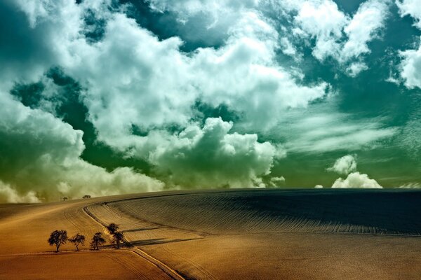 Deserto con alberi su sfondo di nuvole bianche