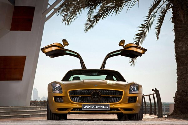 Золотой mercedes benz sls amg на фоне пустыни, пальмы, ступенек