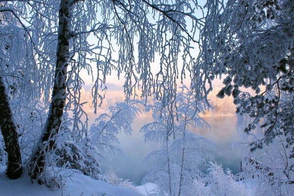 Schneebedeckte Bäume mit Frost bedeckt