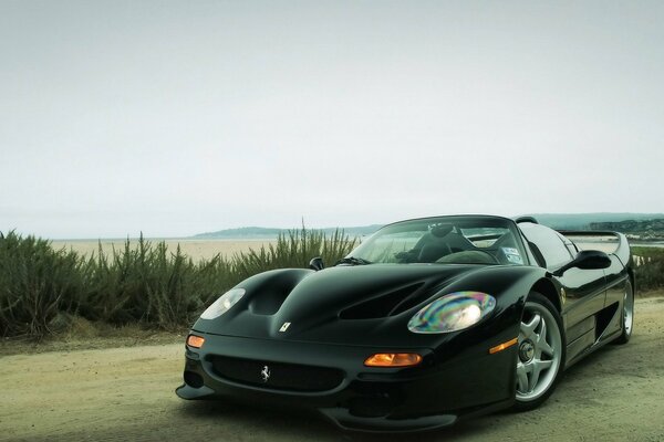 Beautiful photo of a black Ferrari on the road