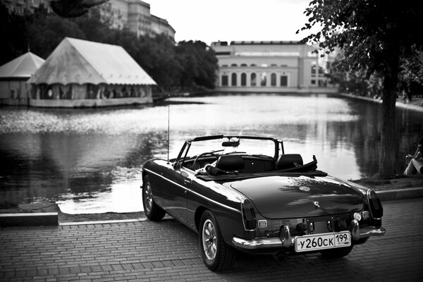 Schwarz-Weiß-Foto eines Autos in der Nähe von Wasser am Baum