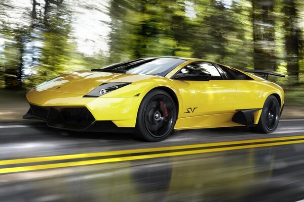 Lamborghini amarillo en movimiento en la pista a lo largo del bosque