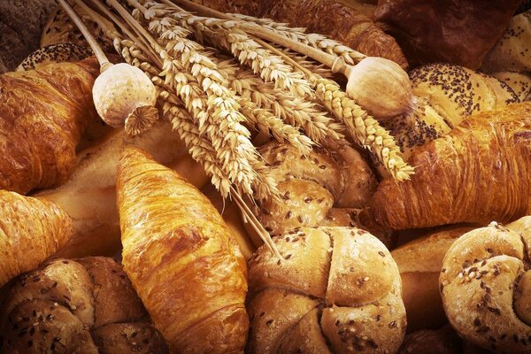 Fragrant pastries, wheat bread, buns with poppy seeds