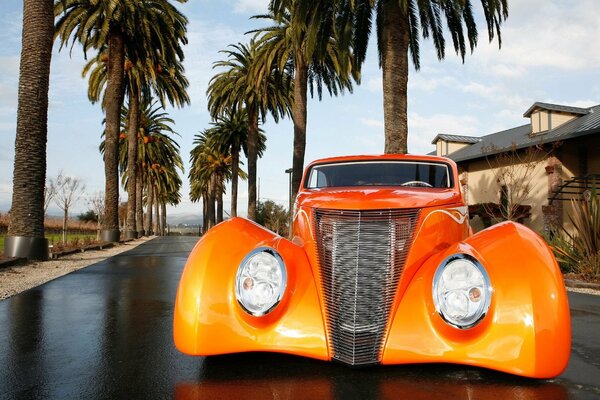 Orange Auto Ford auf Palmen Hintergrund