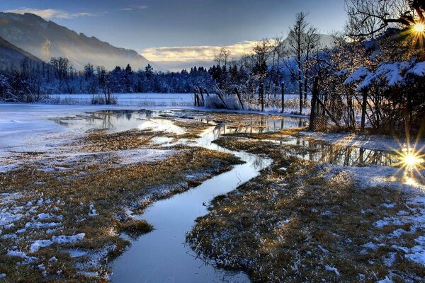 Crayfish and trees sprinkled with snow and illuminated by the sun on the background of mountains