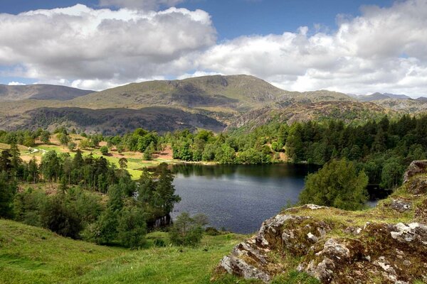 Paisaje del bosque en el fondo del lago y la montaña