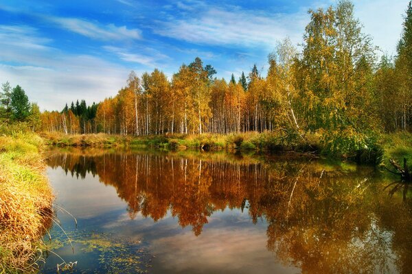 The yellow-green forest is reflected in the water