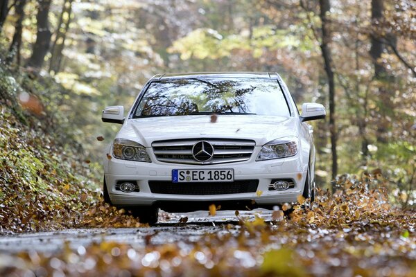 Auto Mercedes-Denz C350 su strada con fogliame