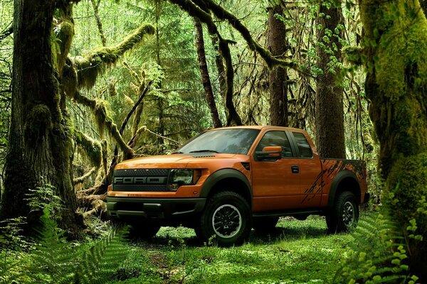 Pickup Ford arancione nella foresta verde