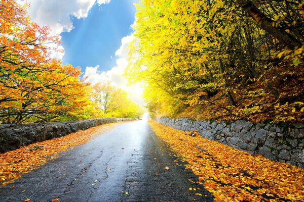 Paisaje de otoño con cielo y hojas de oro