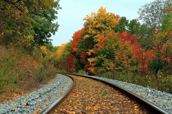 Jesienny krajobraz przy linii kolejowej