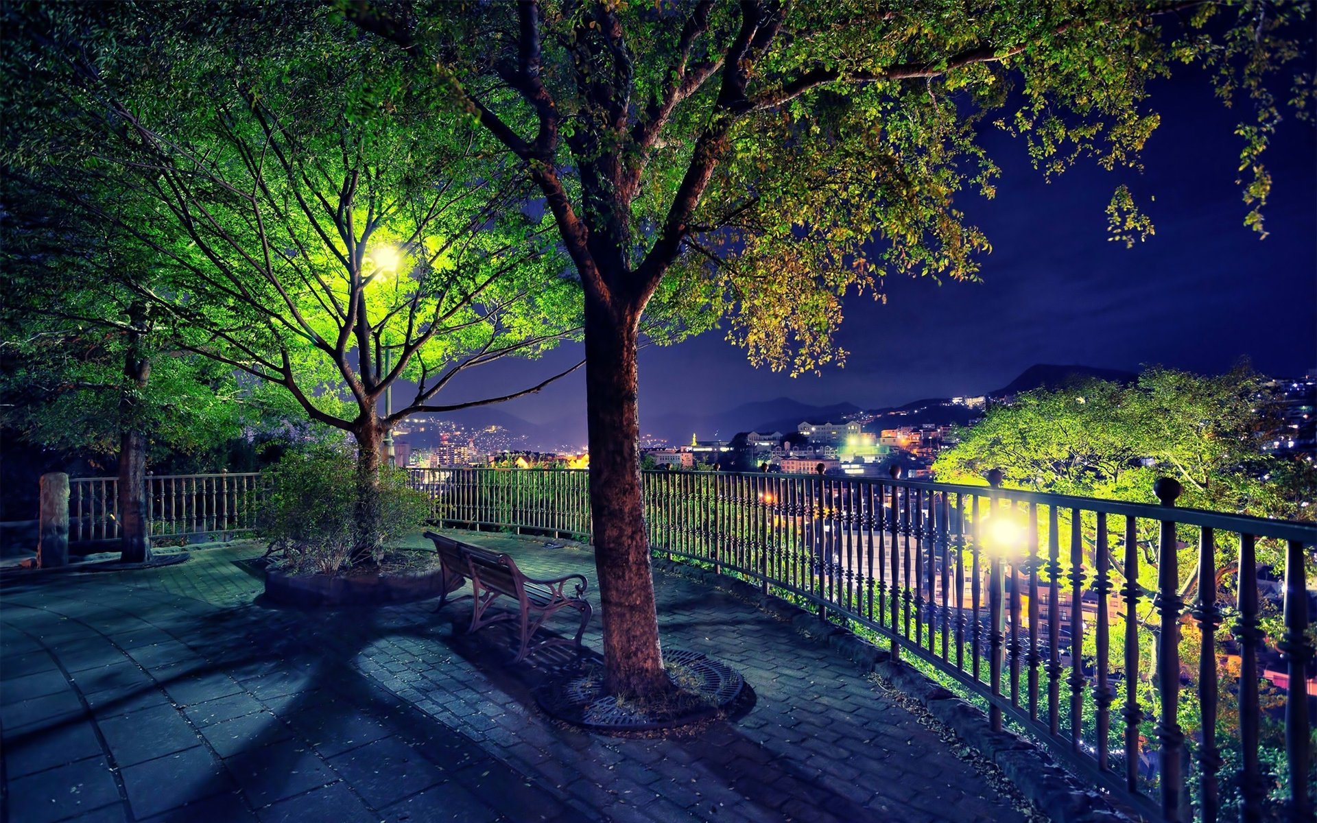 park night lights the fence