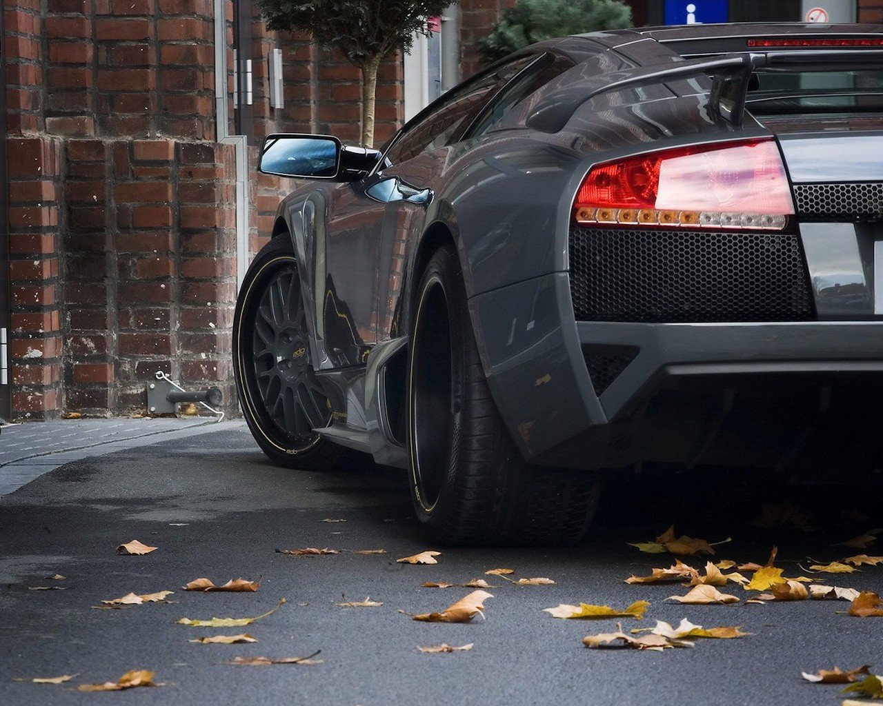 leaves car black