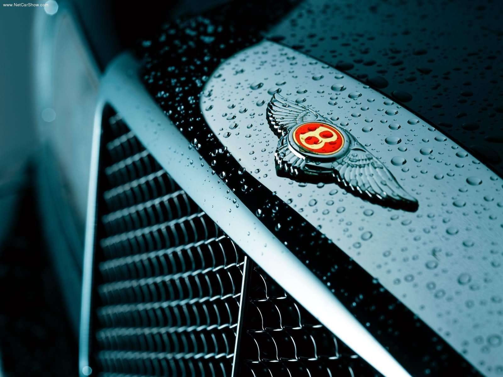 bentley griglia logo