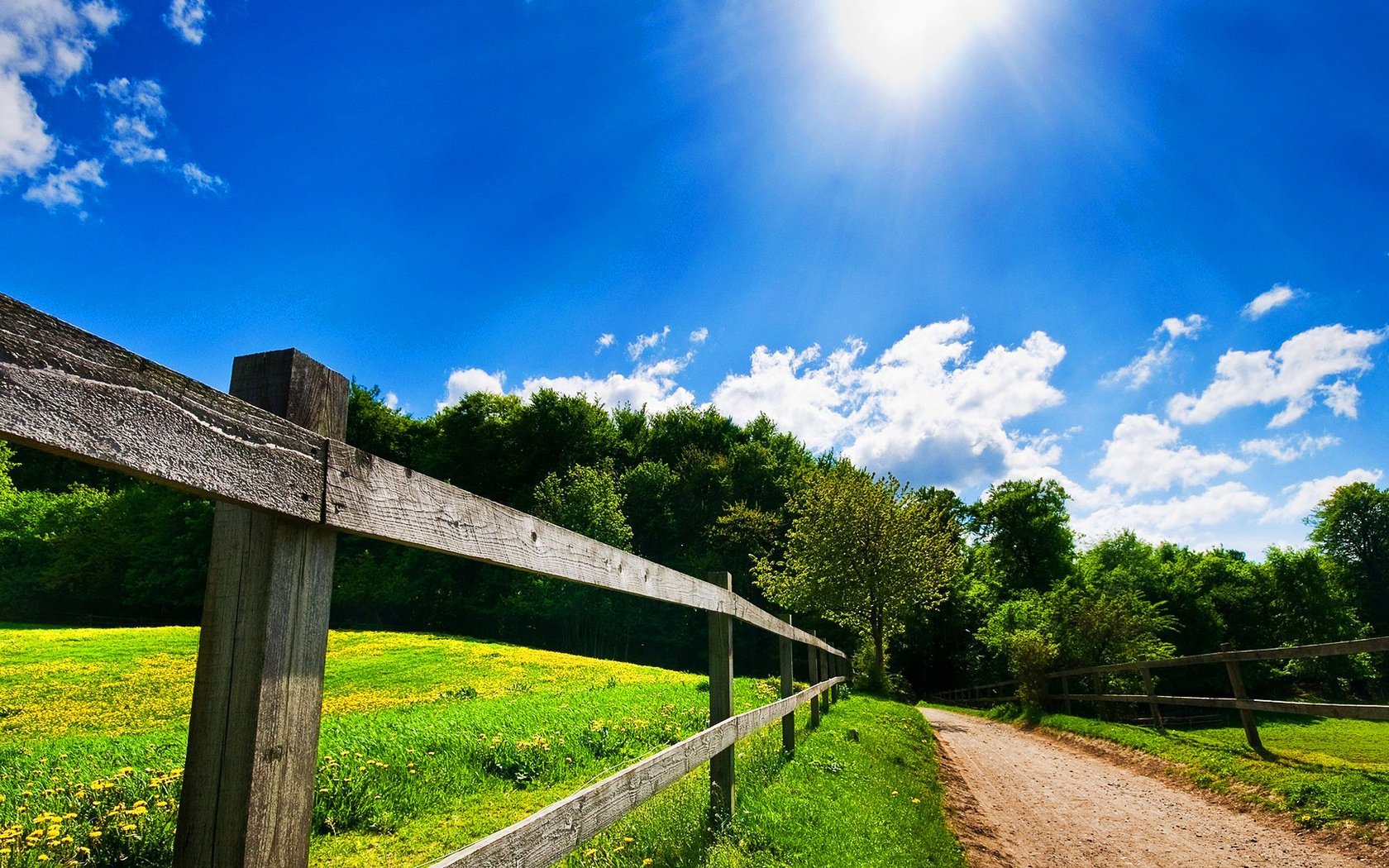 the fence beauty landscape road summer