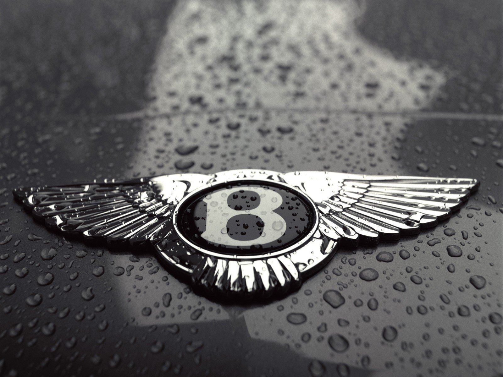 bentley logo gocce bianco e nero