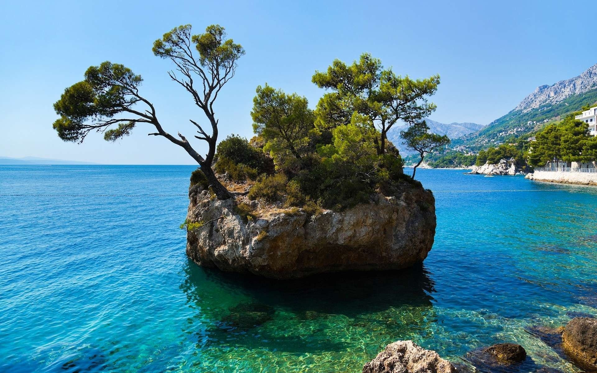 mer île arbres