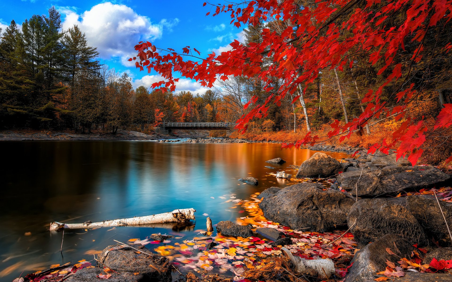 bridge river stones autumn tree