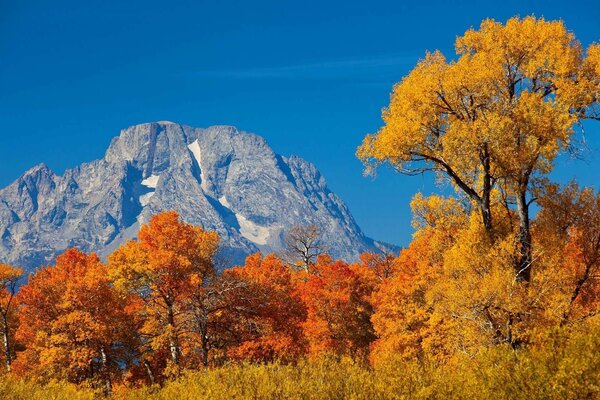 Herbstlandschaft im Bergland