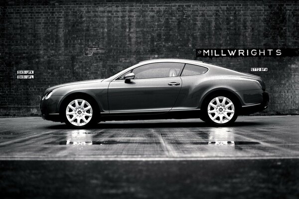 Black and white photo of Bentley against the wall on wet asphalt