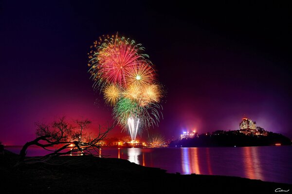 Feux d artifice sur la rive du lac dans la nuit